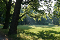 parco di Monza